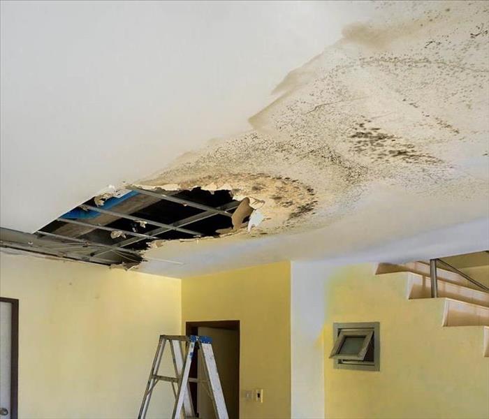 Hole and mold growth to ceiling.