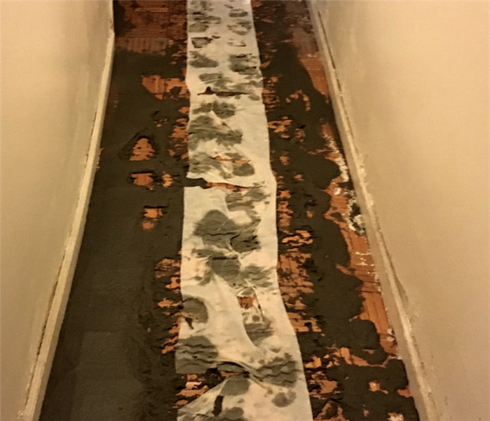a hallway with foot prints in mud