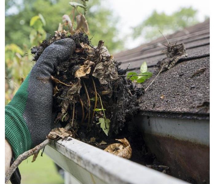 Hand with glove holding leaves from a gutter. Cleaning gutters